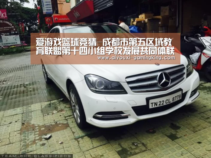 爱游戏体育APP