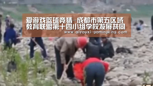 爱游戏体育赛事直播