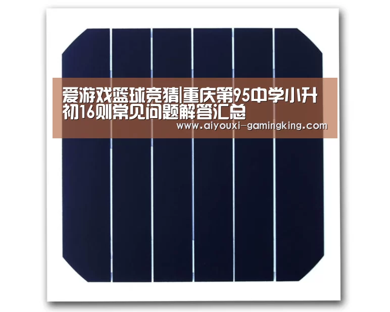 爱游戏篮球竞猜|重庆第95中学小升初16则常见问题解答汇总(图3) 爱游戏体育APP