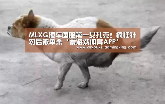 爱游戏篮球竞猜