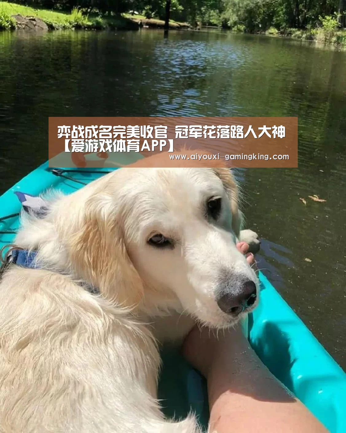 爱游戏足球竞猜