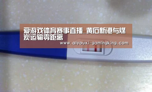 爱游戏体育赛事直播_黄石新港与煤炭运输零距离(图4) 爱游戏足球竞猜
