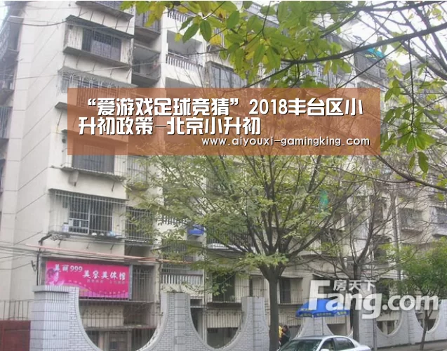 “爱游戏足球竞猜”2018丰台区小升初政策-北京小升初(图1) 爱游戏体育APP